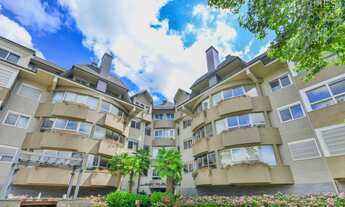 Imagem 4: Oportunidade Unica R$ 1.2 Mi de desconto Lindo Imovel junto a Rua Torta