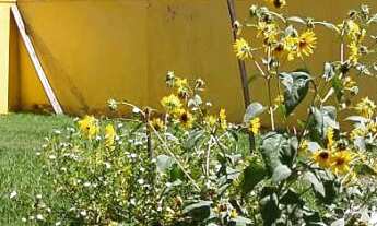 Imagem 7: Casa à venda em Capão da Canoa, Zona Norte