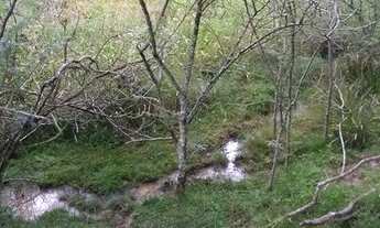 Imagem 6: Área de Terra com 2 Dormitorio(s) localizado(a) no bairro Botucaraí em Cachoeira do Sul