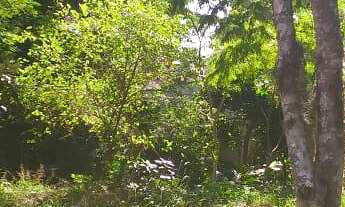 Imagem: Terreno com 2 Dormitorio(s) localizado(a)