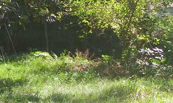 Imagem 2: Terreno com 2 Dormitorio(s) localizado(a) no bairro Centro em Cachoeira do Sul / Rio Gran