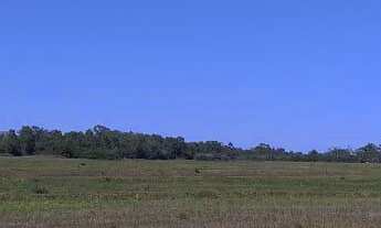 Imagem: Área de Terra com 2 Dormitorio(s) localizado(a)