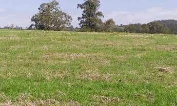 Imagem 4: Fazenda com 2 Dormitorio(s) localizado(a) no bairro Forqueta em Cachoeira do Sul / Rio Gr