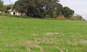 Imagem 6: Fazenda com 2 Dormitorio(s) localizado(a) no bairro Forqueta em Cachoeira do Sul / Rio Gr