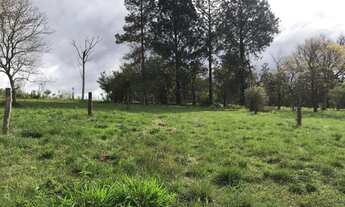 Imagem: Terreno com 3 Dormitorio(s) localizado(a)