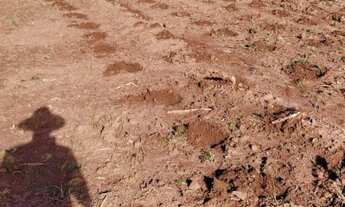 Imagem 3: Chácara com 1 Dormitorio(s) localizado(a) no bairro BR 153 em Cachoeira do Sul / Rio Gran