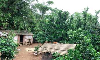 Imagem 6: Casa com 3 Dormitorio(s) localizado(a) no bairro Barcelos em Cachoeira do Sul / Rio Grand