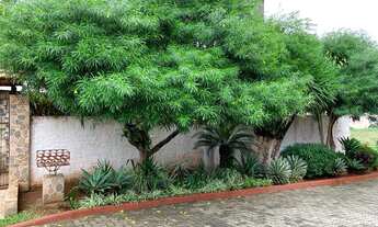 Imagem: Casa com 3 Dormitorio(s) localizado(a) no