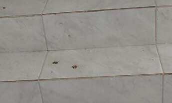 Imagem 3: DUPLEX Apartamento com aluguel por R$880 /mês