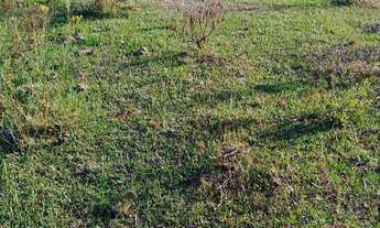 Imagem: Área de Terra com 3 Dormitorio(s) localizado(a)