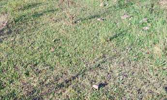 Imagem 5: Área de Terra com 3 Dormitorio(s) localizado(a) no bairro Cordilheira em Cachoeira do Sul