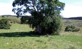 Imagem 6: Área de Terra com 3 Dormitorio(s) localizado(a) no bairro Cordilheira em Cachoeira do Sul