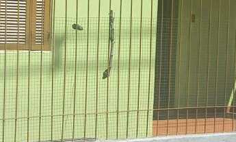 Imagem: Casa com 3 dormitórios no Bairro Soares