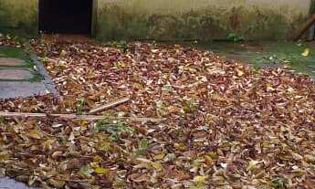 Imagem 3: Casa com 3 Dormitorio(s) localizado(a) no bairro Centro em Cachoeira do Sul / Rio Grande