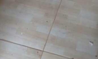 Imagem 5: Casa com 3 Dormitorio(s) localizado(a) no bairro Centro em Cachoeira do Sul / Rio Grande