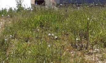 Imagem 2: Terreno com otima localização