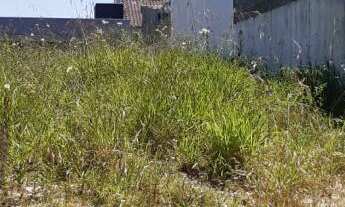 Imagem 3: Terreno com otima localização