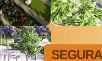 Imagem: Terreno no Parque dos Anjos