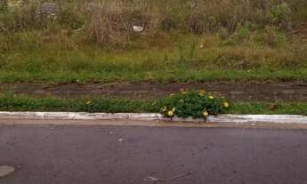Imagem: Terreno à venda em Gravataí, Loteamento