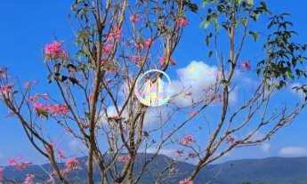 Imagem 5: Terreno a venda - Condominio Terras da Alvorada - Nova Era - Itupeva/SP