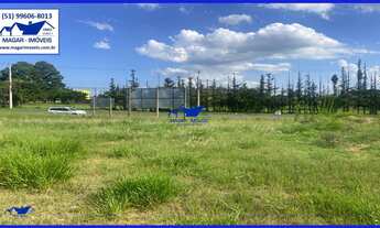 Imagem 5: Terreno 12 x 36 no asfalto no Quinta do Boa Vista Bairro Das Quintas em Estância Velha..