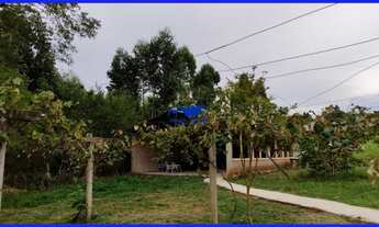 Imagem 7: Chácara semi mobiliada, 4 quartos, 1 suíte, área plana no Rincão do Cascalho em Portão na