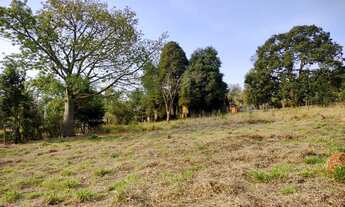 Imagem 3: Terreno Padrão, 2500M² de Área Total