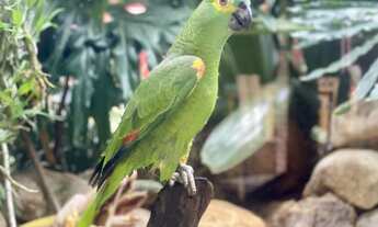 Imagem: Casa de Condomínio