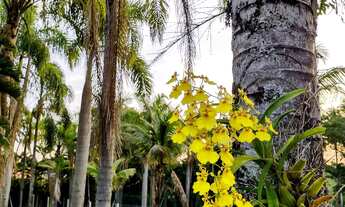 Imagem: Chacara em condominio