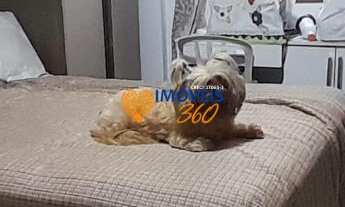 Imagem 5: Oportunidade a 50 metros da praia