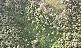 Imagem 7: Terreno Disponível para Empreendimentos Inovadores!