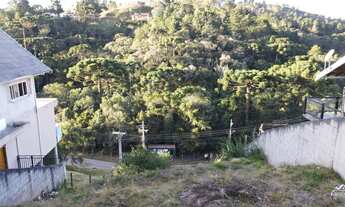 Imagem 3: Terreno à venda, 500 m² com Boa Localização em Bairro Tranquilo!