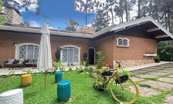 Imagem: Um verdadeiro Bosque no Capivari