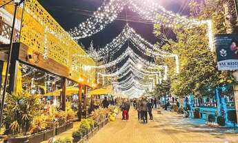 Imagem 7: Apartamento com quintal ? Sim! Ótimo investimento