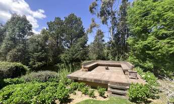 Imagem 6: Casa com Terreno Fantástico e Paisagismo Deslumbrante!