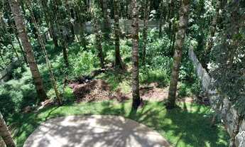 Imagem 4: Refúgio Sereno com Árvores Nativas em Campos do Jordão!