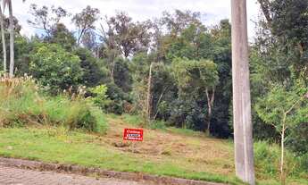 Imagem: Terreno à venda em Montenegro, Loteamento