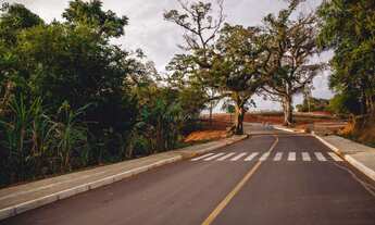Imagem: Lotes no Centro de Pareci Novo