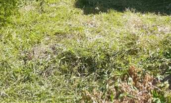 Imagem 4: Terreno à venda em Montenegro, no bairro Centenário