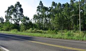 Imagem: Área Comercial em Montenegro