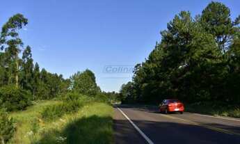 Imagem: TERRENO COMERCIAL NA ERS 124 - RODOVIA MONTENEGRO-BR