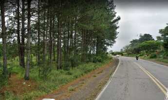 Imagem: Área comercial na ERS287