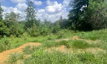 Imagem: Terreno à venda em Montenegro, Porto dos