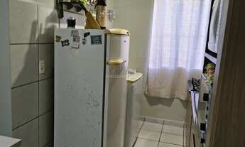 Imagem: Apartamento à venda em Montenegro, Cinco