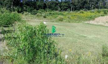 Imagem 3: Terreno com 3 Dormitorio(s) localizado(a) no bairro Monte Verde em Farroupilha / RIO GRAN