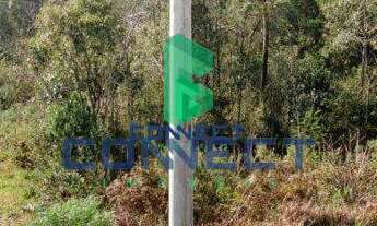 Imagem 4: Terreno com 4 Dormitorio(s) localizado(a) no bairro Nova Sardenha em Farroupilha / Rio G