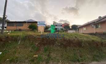 Imagem 3: Terreno com 5 Dormitorio(s) localizado(a) no bairro Monte Pasqual em Farroupilha / Rio Gr