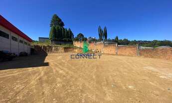 Imagem 2: Terreno Industrial com 3 Dormitorio(s) localizado(a) no bairro Vicentina em Farroupilha