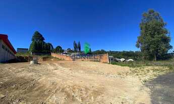 Imagem 4: Terreno Industrial com 3 Dormitorio(s) localizado(a) no bairro Vicentina em Farroupilha