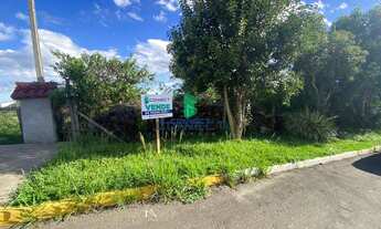 Imagem 2: Terreno com 3 Dormitorio(s) localizado(a) no bairro Primeiro de Maio em Farroupilha / Ri